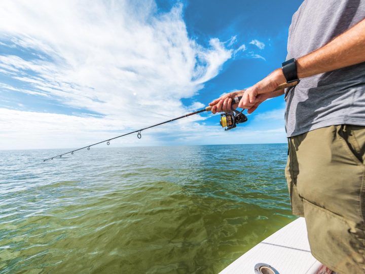 App para la pesca: ¡Tecnología que transforma tu experiencia en el agua!
